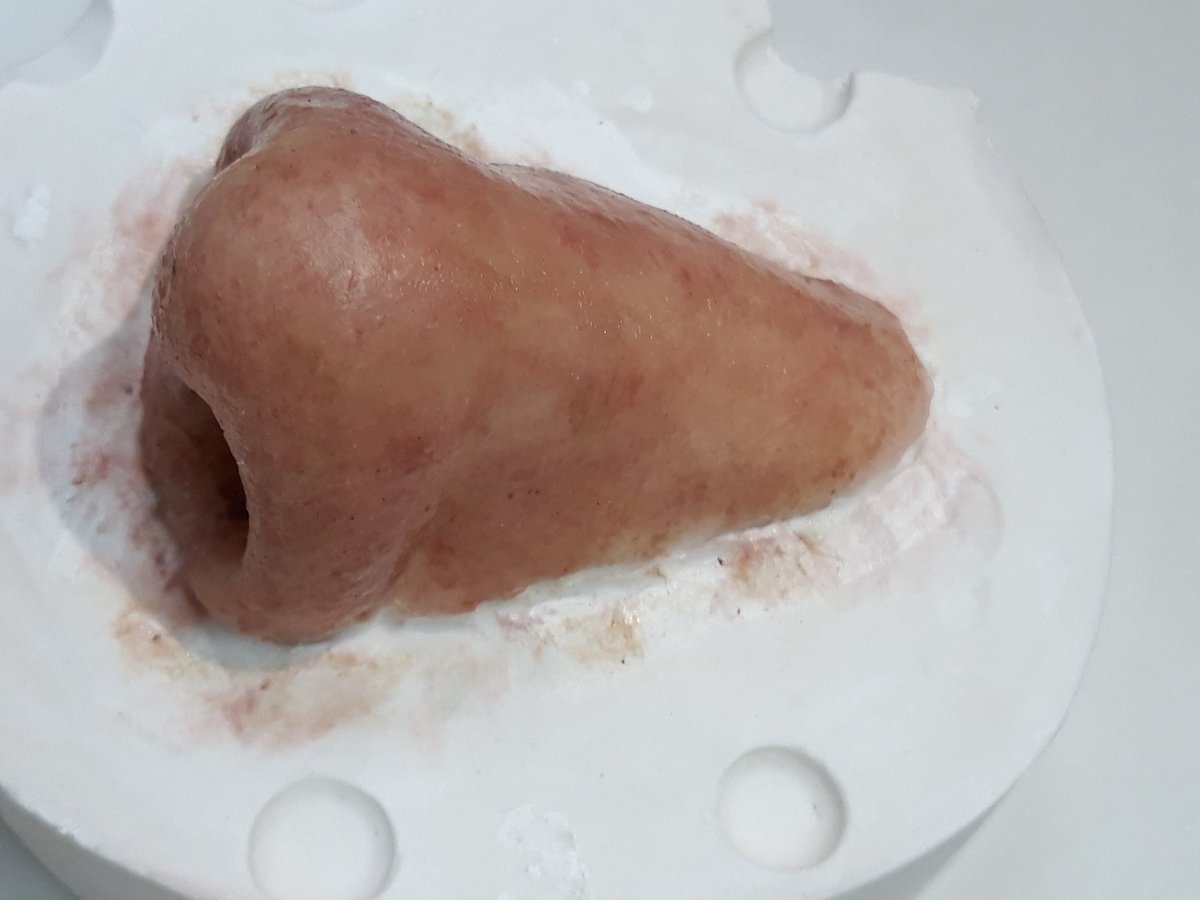 ortoarbos's tweet photo. Sortit de motlle😊
#anaplastology #everydetailmatters #nariz #nas #epitesis #catsalut #siliconeprosthetics #silicone #epithesis #noseprosthetic #ortoarbos https://t.co/vwVzl4L5VV