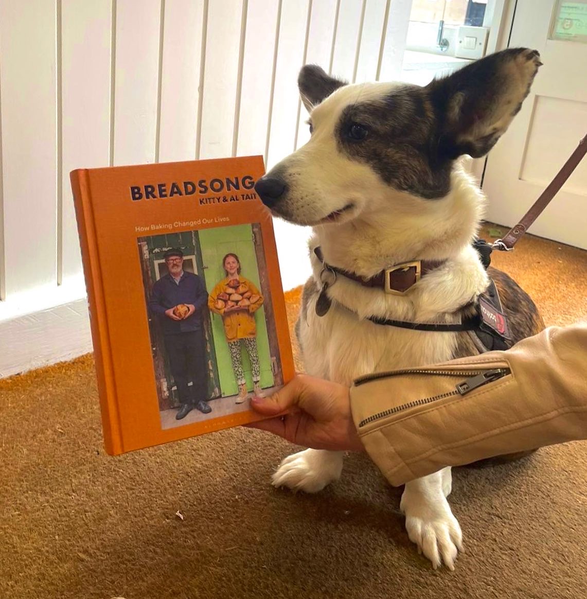 BookaBookshop's tweet photo. Prin is a big fan of Breadsong, in particular a certain Corgi inside.. 😍 

#breadsong #bookabookofthemonth #bookabookshop #CorgiCrew #Corgi https://t.co/EbdxdE30mu