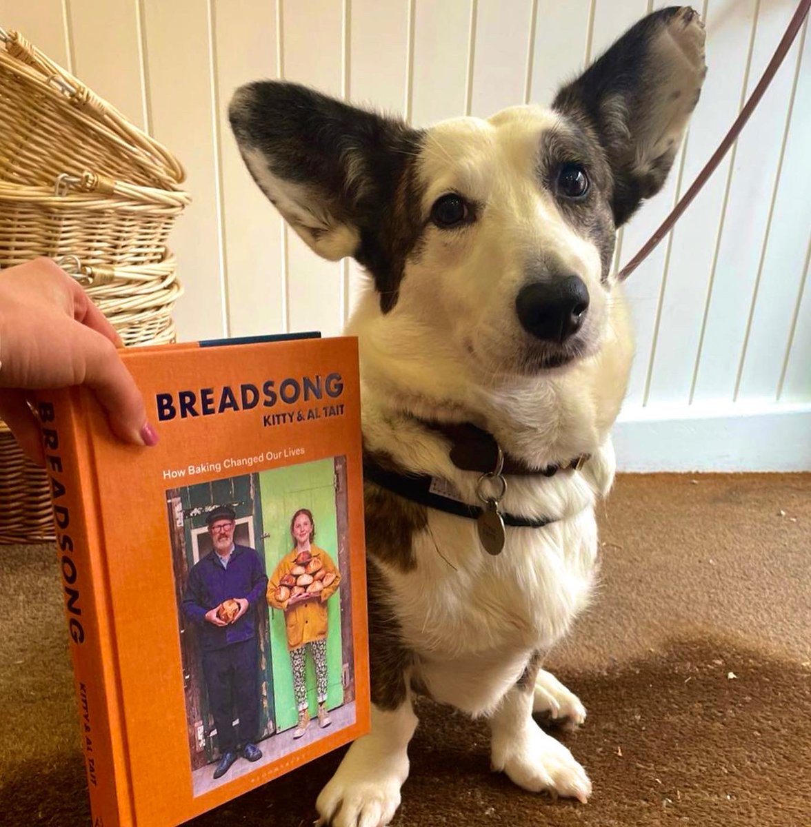 BookaBookshop's tweet photo. Prin is a big fan of Breadsong, in particular a certain Corgi inside.. 😍 

#breadsong #bookabookofthemonth #bookabookshop #CorgiCrew #Corgi https://t.co/EbdxdE30mu