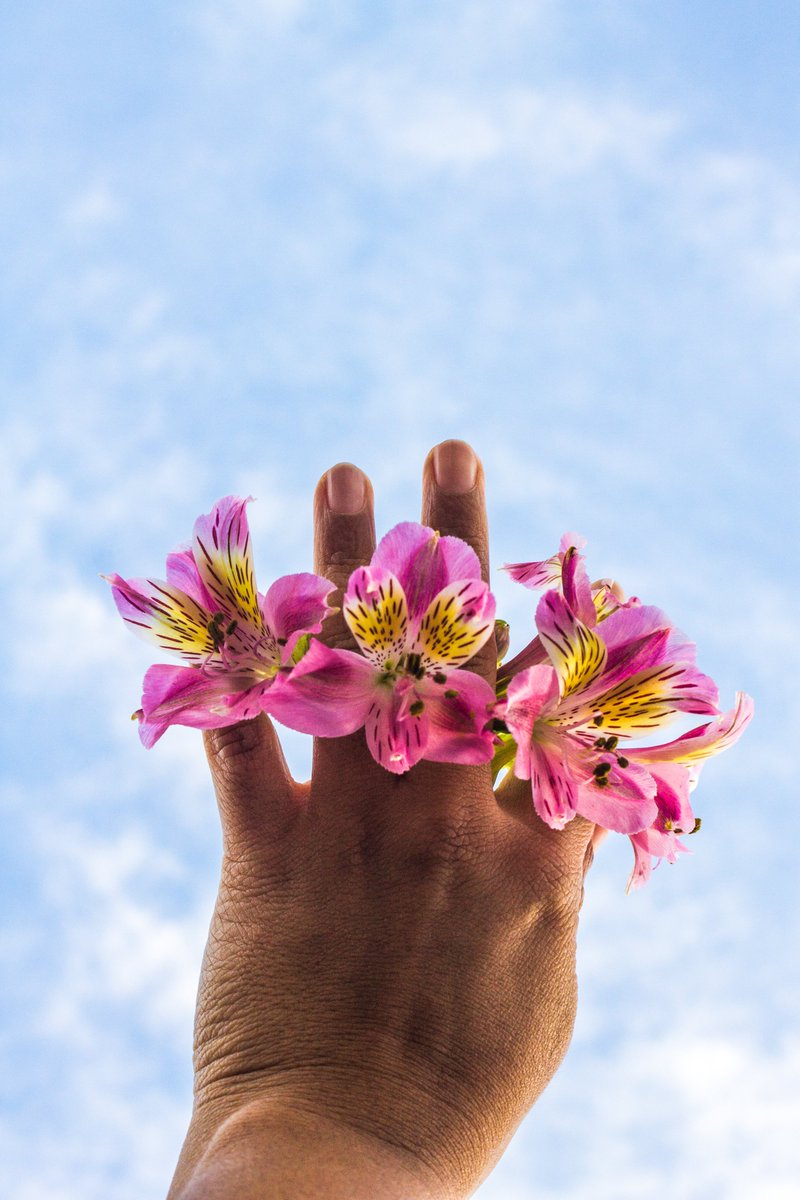 zaipalacios's tweet photo. #FloreSer
es hacer consciente nuestras experiencias de vida.
Seguimos en transformación constante..
Fotografía parte de mi primeros #nft minteados en #teia
#nftphotography
#NFTartist
#NFTCommmunity
#NftArtCollection
#tezosnft
#teiaart https://t.co/ek3vtNqQ3E