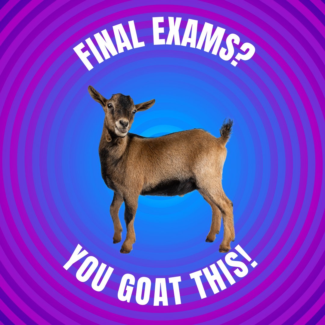 IIE_UCNJ's tweet photo. We want to wish you all the best with your final exams! #eslstudents #intensiveenglish #intensiveenglishprogram #UnionCountyCollege #finalexams #collegestudent https://t.co/HM26r43CwT