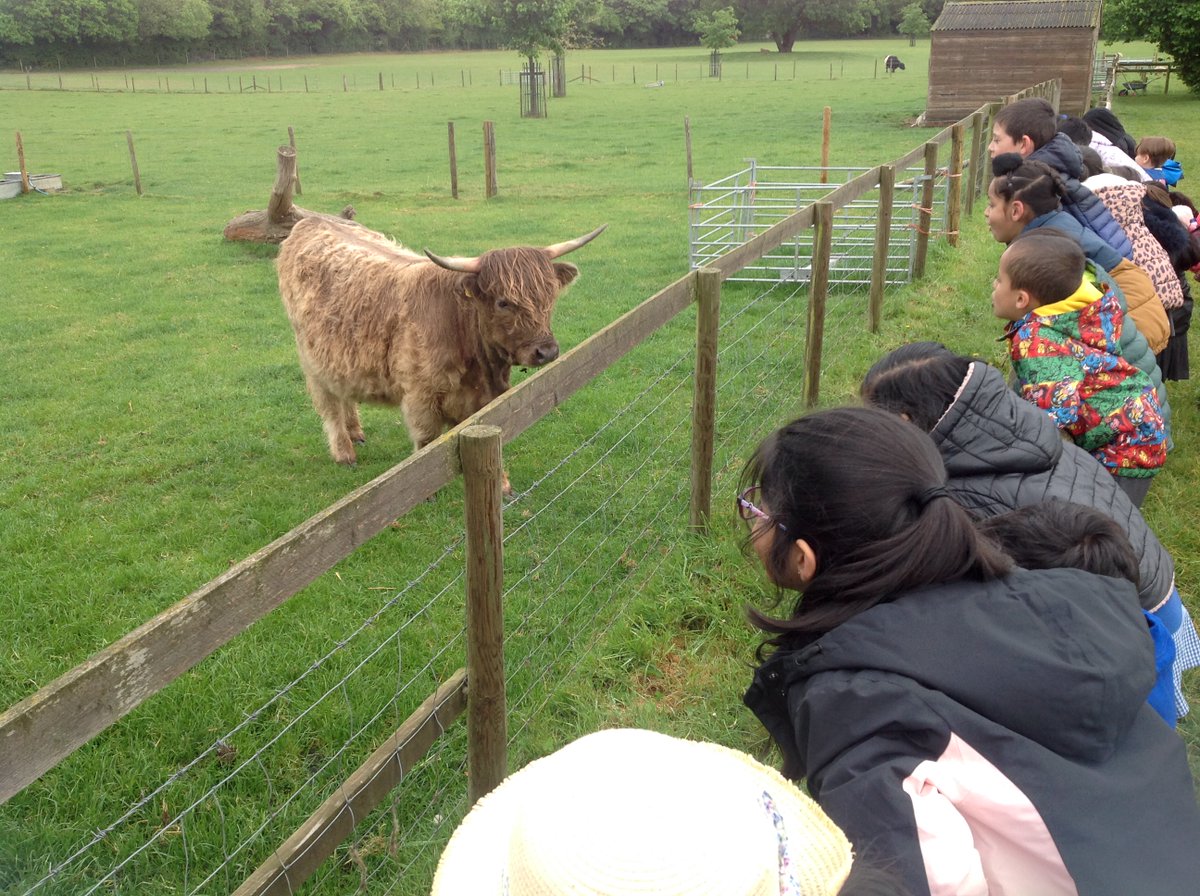 WCPSY1's tweet photo. Year 1 had a fantastic time at Odds Farm today - even if we did get a bit wet in the rain! @WexhamPS https://t.co/DpzC3sK0kk