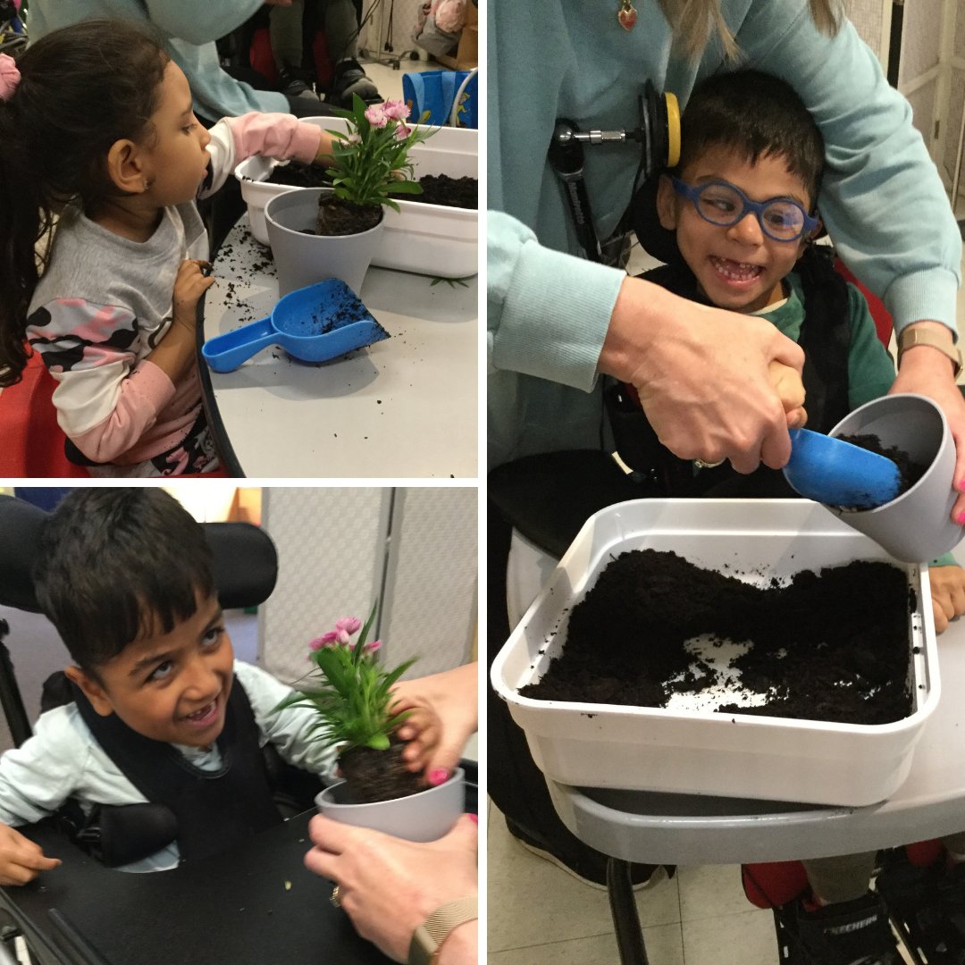 CottingSchool's tweet photo. Our Lower School students loved digging in and getting their hands dirty while planting flowers for Mother's Day!

#LowerSchool #SpecialEducation #SpecialEdChat #SensoryLearning #SensoryActivity https://t.co/Xhn0XAGrT8