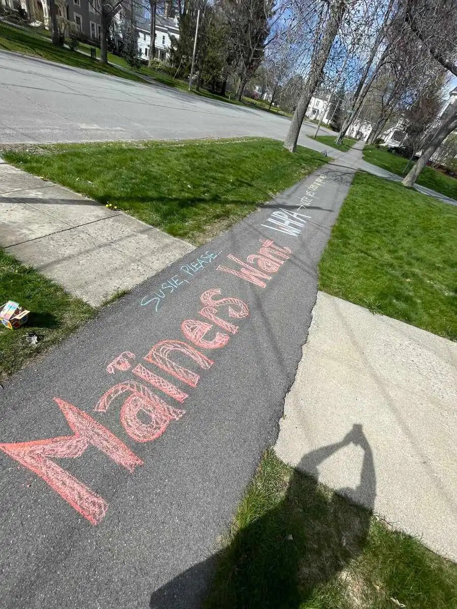 NotHoodlum's tweet photo. “I’m very concerned about the neighborhood vandals &amp; thugs threatening me.” - Susan Collins (R-Moscow) 

(She actually called the cops over this chalk) 👇 https://t.co/XhvU2uAUyh