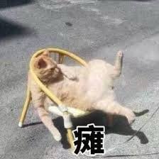 最近好累，每天做完健身操就是一个躺倒大喘气5分钟 https://t.co/XlCCQLxf90