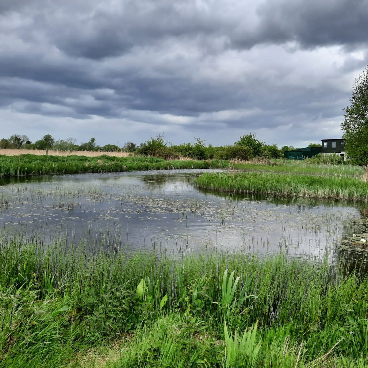 CarbonConnects's tweet photo. Inspired by the Cabragh Wetlands, a potential town dump area turned into a highly valuable wetland, taking lessons learned to our next session of #CarbonREconnects https://t.co/Oqi8Cc3E6H