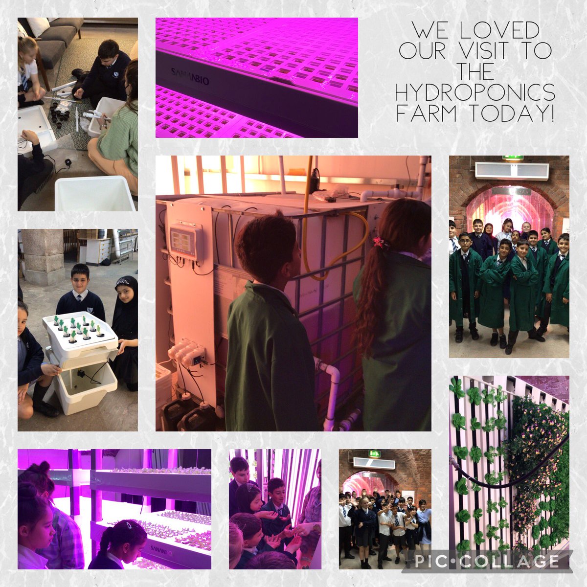 Smithdown PrimaryY5 (@smithdownprimy5) on Twitter photo We loved our celebration visit to <a href="/FarmUrbanUK/">Farm Urban</a> today - we have loved the produce pod project and fighting food waste! #smithdowngeog #smithdownextra We loved our celebration visit to <a href="/FarmUrbanUK/">Farm Urban</a> today - we have loved the produce pod project and fighting food waste! #smithdowngeog #smithdownextra