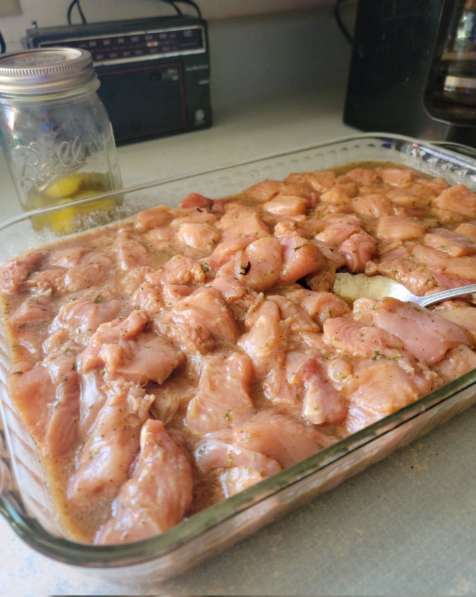 valerie_305's tweet photo. Marinating wild turkey for #spiedies https://t.co/1tMmQ9SLdl