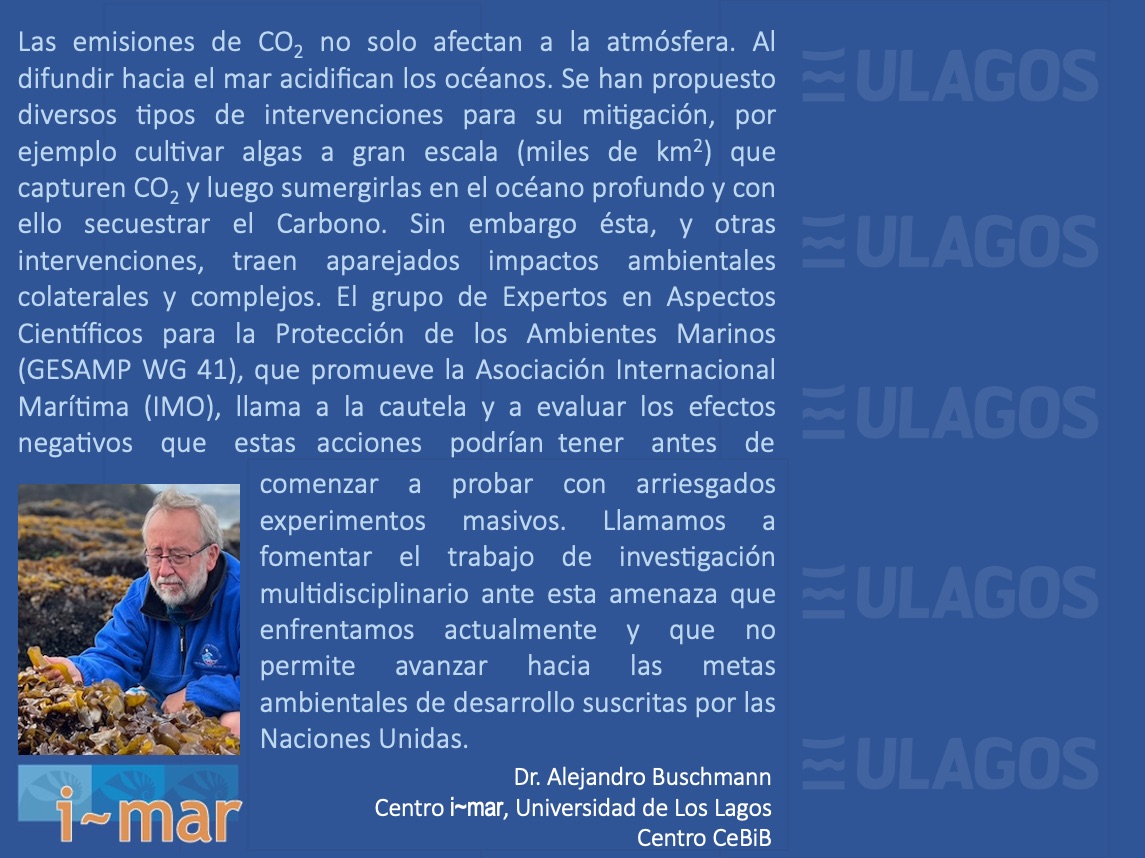 MarCentro's tweet photo. 📍🌊 Con motivo del Mes del Mar, los investigadores del Centro i~mar de la Universidad de Los Lagos, nos invitan a reflexionar. En esta ocasión, el Dr. Alejandro Buschmann opina sobre Cambio Climático y Mitigación. 
Ampliar imagen 🔎 https://t.co/LnzWkt83mN https://t.co/1tBhfPvY9H