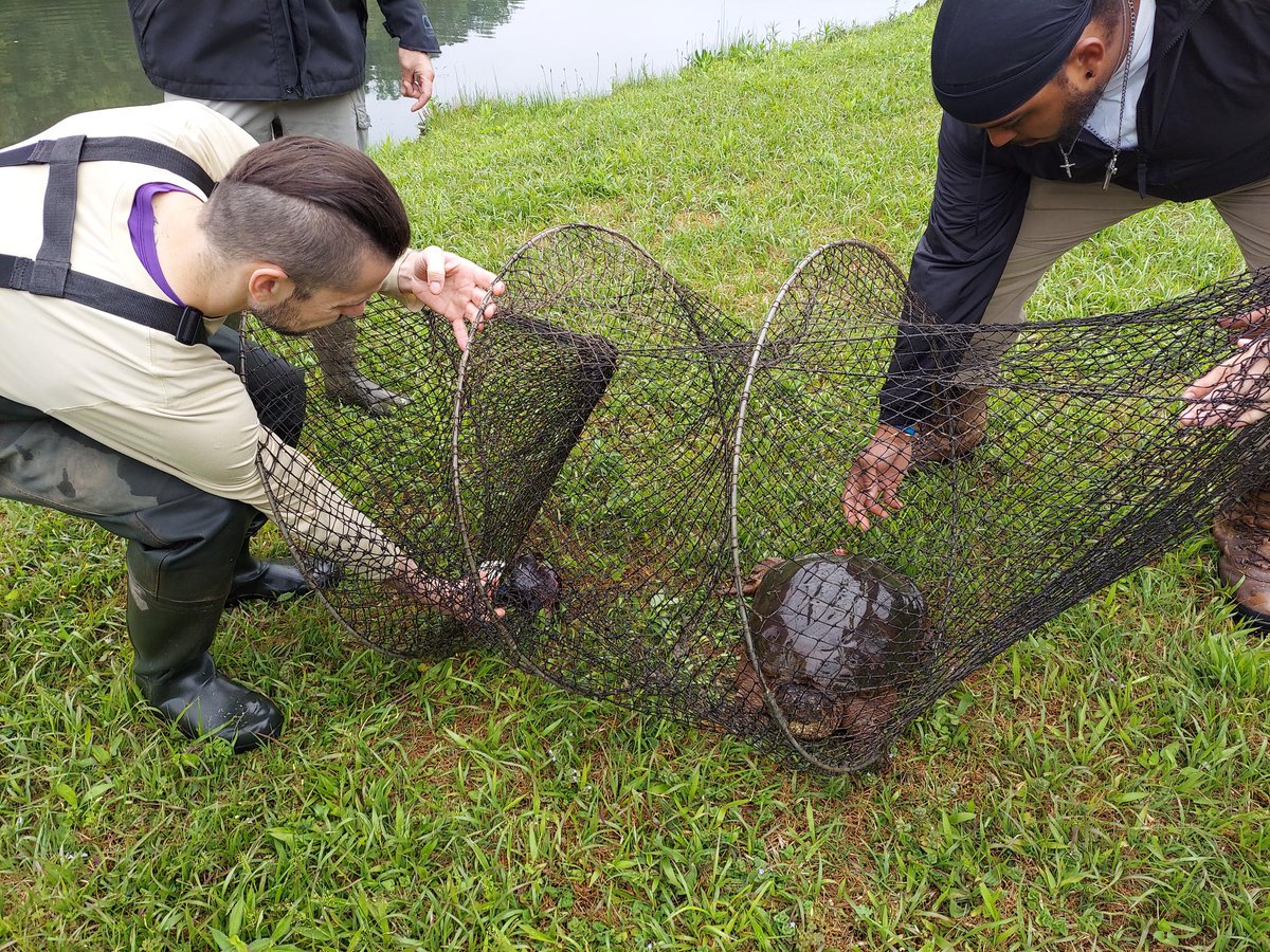 PatrickHenryCC's tweet photo. If you like learning by doing, try being one of our BIO students! While biology professors Worley & Gibson were conducting their field research, they brought their students along to show them the ropes.
#HandsOnLearning #Biology #BioStudent #HigherEd #CommunityCollege https://t.co/MFGWYc8g6t