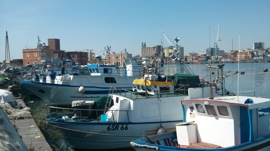 LIFEplatformEU's tweet photo. Presentation of Fresh Fish Alert and Foodnected projects @ the University of Catania on next Thursday, May 12th #foodnected #freshfishalert https://t.co/WkLRXubqf3 https://t.co/PhHMnySJg1