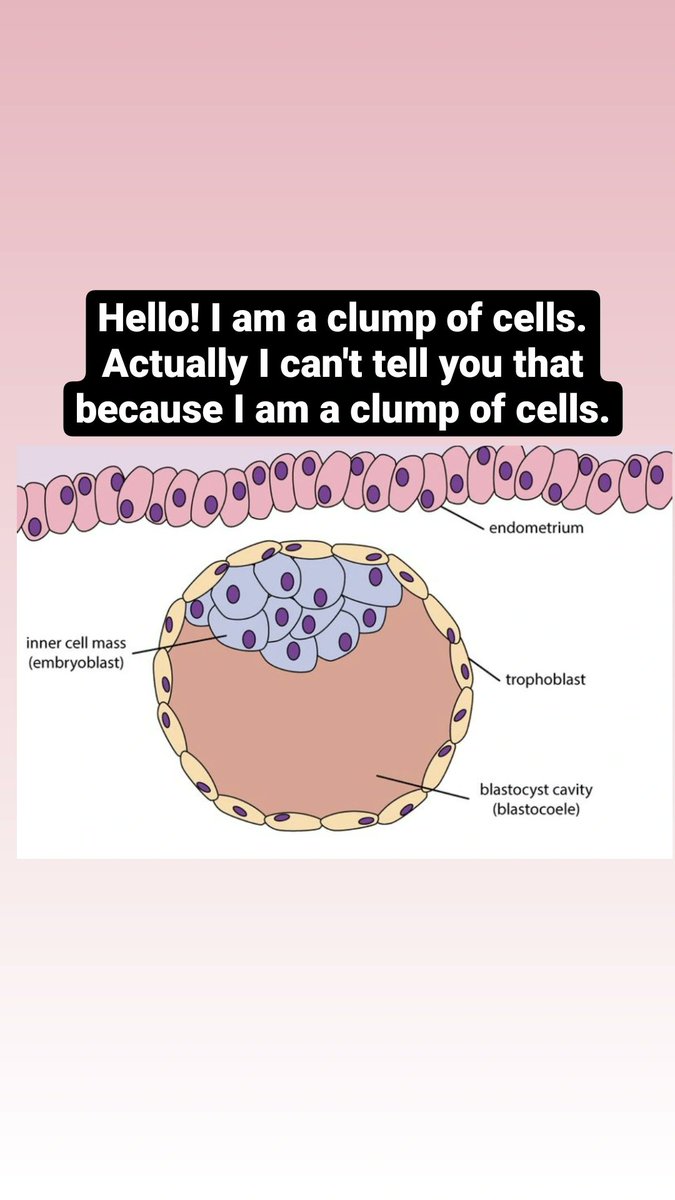 Ashley Winter MD || Urologist tweet media