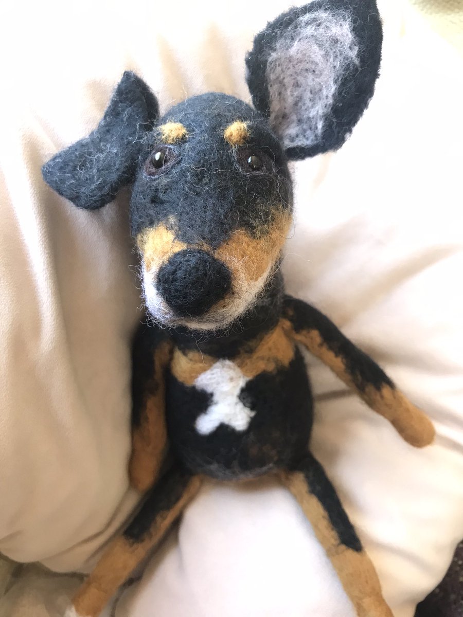 Chilaxing on a Tuesday afternoon x
Message me if you’d like a model of your own dog making x #tuesdayvibe #handmade #dogsoftwitter