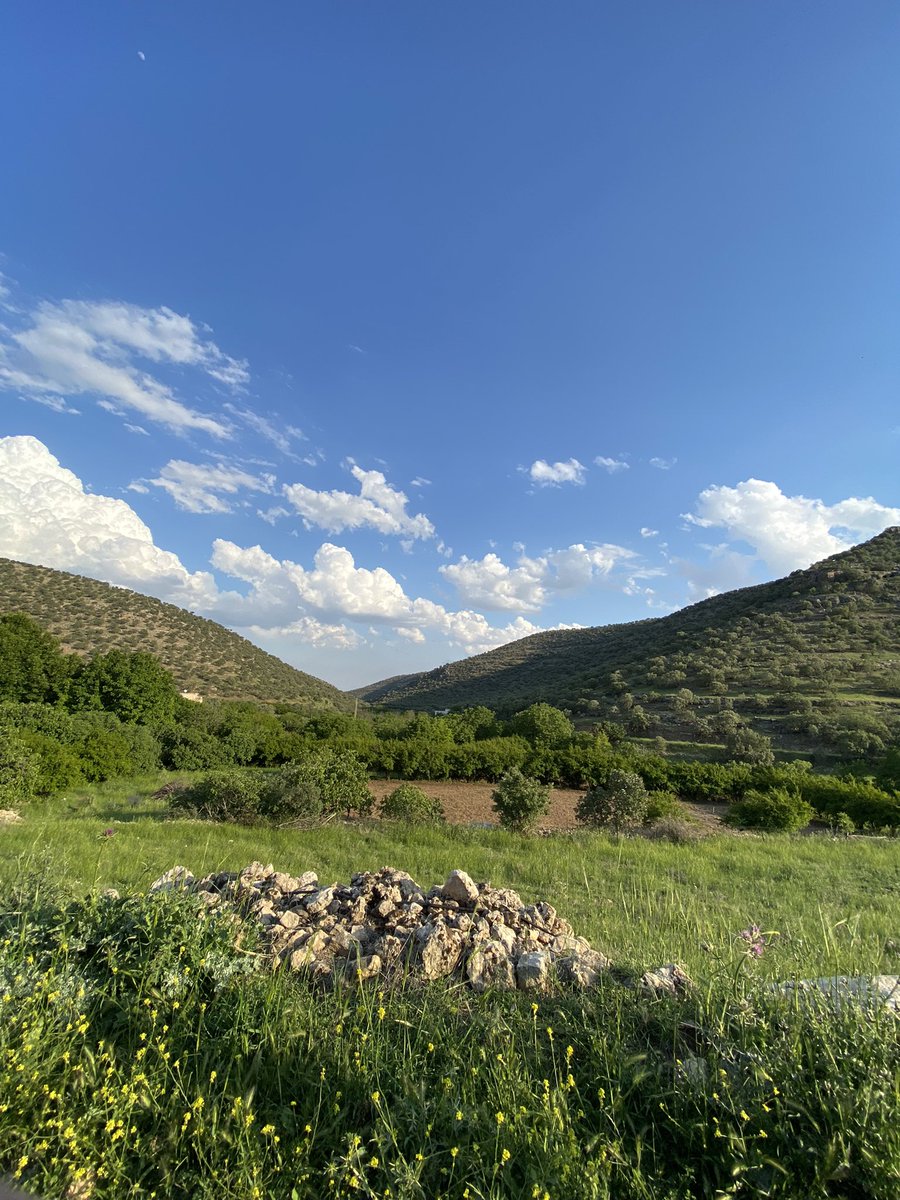 omeri_00's tweet photo. Serêkaniyê #Omerya https://t.co/QehrwNSvEx