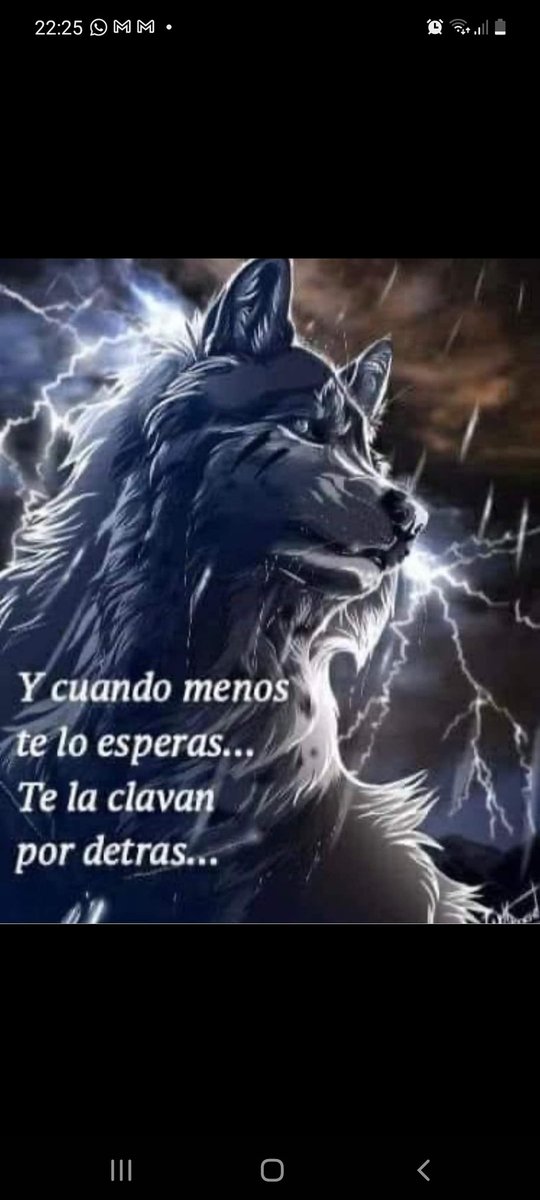 Aleeejo69's tweet photo. @AdrianFerreir4 Si https://t.co/fGWhG15ON6