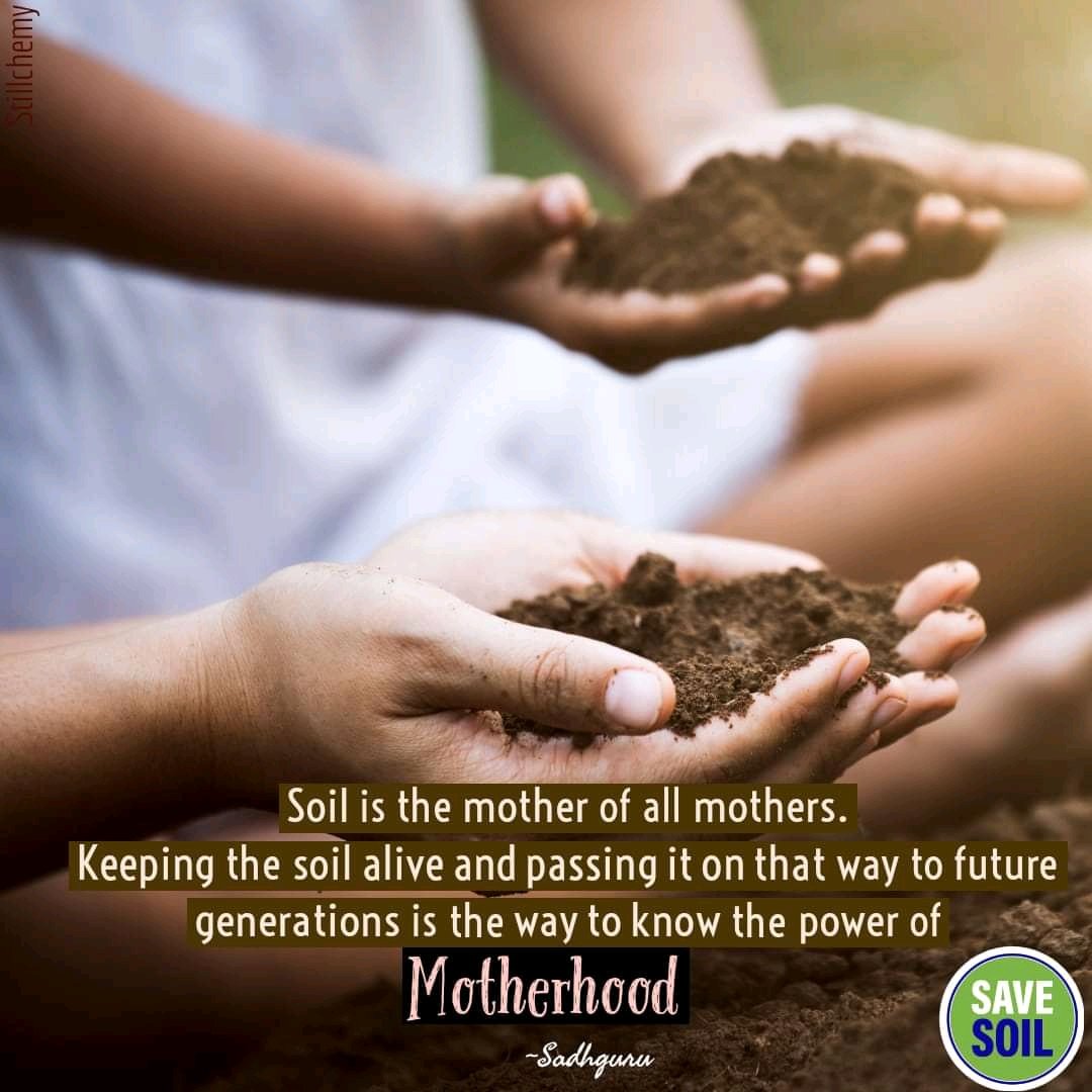 Prathima_Mitta's tweet photo. #SaveSoilAtCOP15   https://t.co/6AU7TJNYsu https://t.co/KyeqrP3jdl