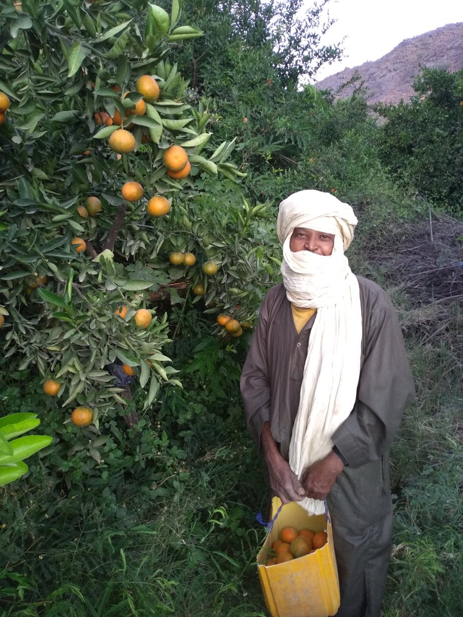 Oumarou Yacoudima tweet media