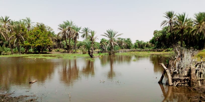 Oumarou Yacoudima tweet media