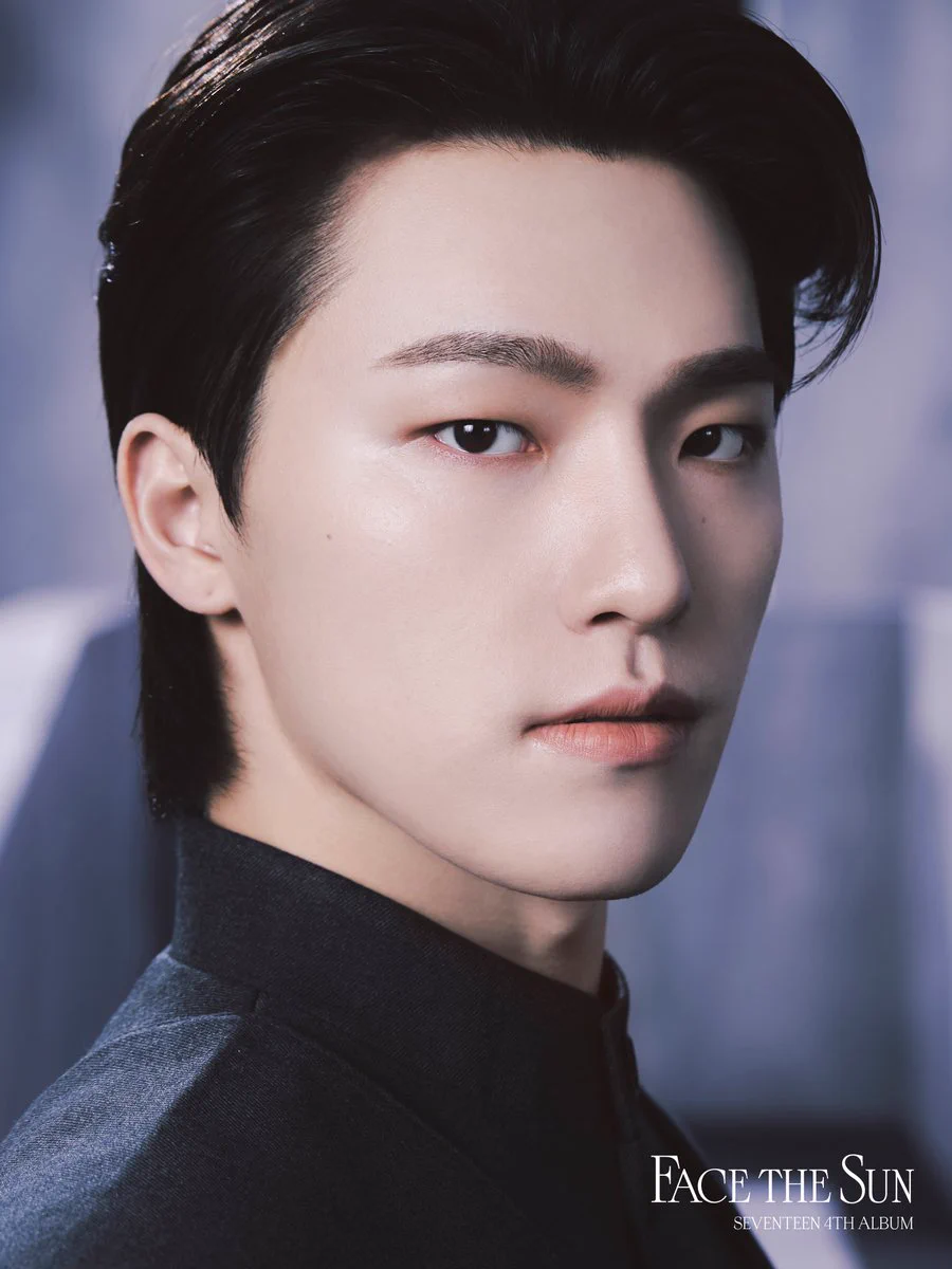 세븐틴(SEVENTEEN) on X: 