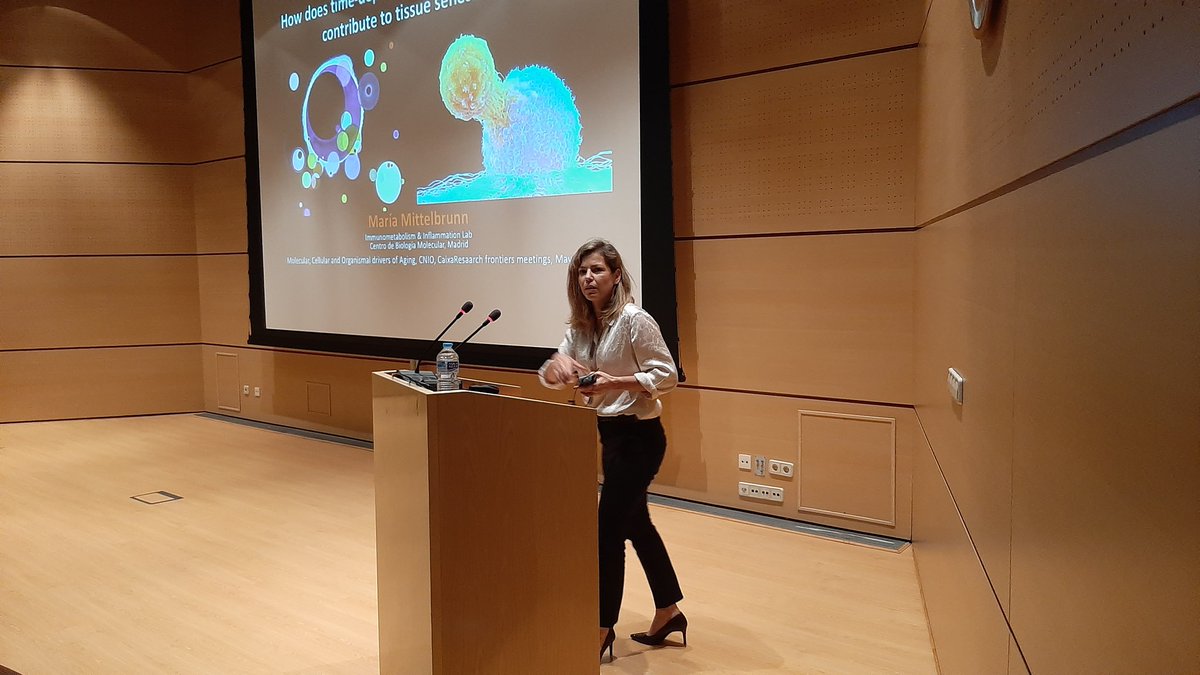 CNIOStopCancer's tweet photo. Short Talk | How does time-dependent deterioration of T cells contribute to tissue senescence? by @MMittelbrunn from @CSIC #CFM_AGING22 @CaixaResearch https://t.co/tRUKQFfZ2X