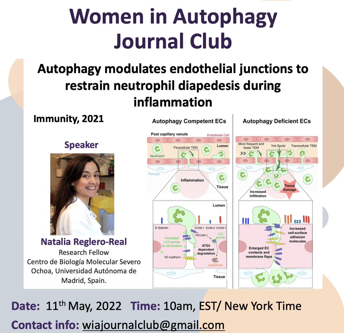 WAutophagy's tweet photo. #JournalClubAlert tomorrow @NatReglero will be presenting her wonderful work in #Autophagy in #Endothelio more info at: wiajournalclub@gmail.com
@NoursharghLab @QMULWHRI @CBMSO_CSIC_UAM
#WomenInScience #WomenInSTEM https://t.co/Vw5lSPOBZs