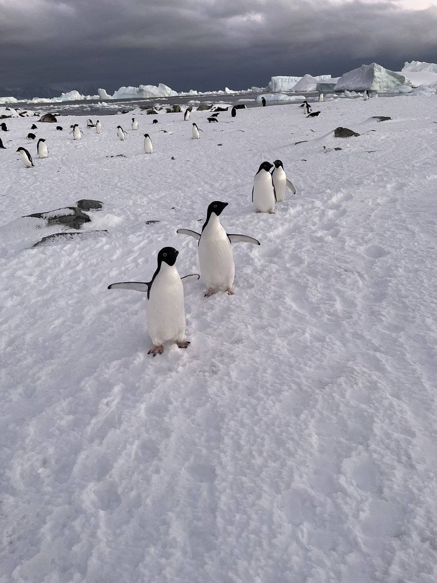 John Walls tweet media