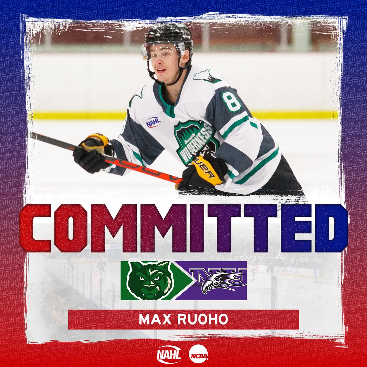 #NAHL Commitment Alert: <a href="/mnwilderness/">Minnesota Wilderness</a> defenseman and <a href="/NAPHL/">NAPHL</a> alum Max Ruoho has committed to play NCAA Division I <a href="/collegehockey/">College Hockey Inc.</a> for <a href="/NiagaraMHKY/">Niagara University Men's Hockey</a> #MadeintheNA #LadderofDevelopment nahl.com/news/story.cfm…