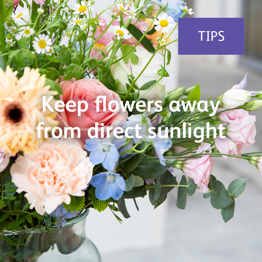 ChrysalInt's tweet image. Sunny weather is nice! But keep your flowers away from direct sunlight if you want to keep them fresh longer.

#Florist #FlowerCare #FlowerTips
