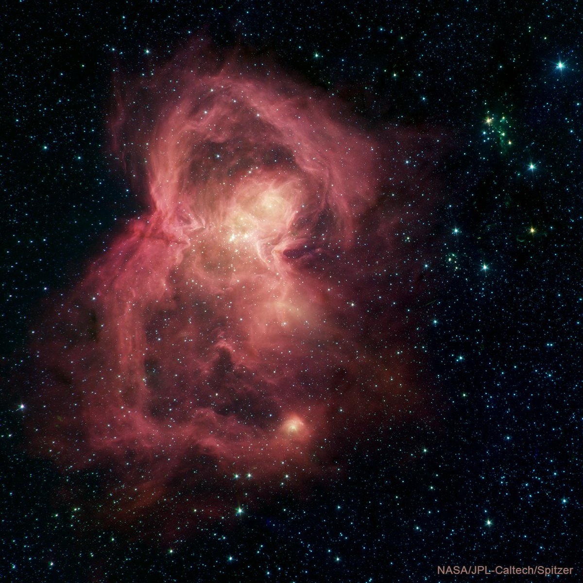 This is an infrared image of W 40, or Westerhout 40, from NASA's Spitzer Space Telescope. The nebula resembles the shape of a butterfly rotated on its side in shades of reds and pinks. Slightly off center toward the top of the image is where the body of the butterfly would be. This is where about 500 stars are clustered together. It is also the lightest and brightest part of the image. The entire image is dotted with stars that are farther apart than those in the cluster.