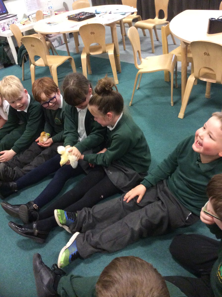 wpsYear2Melyn's tweet photo. @WillowtownPri we have welcomed some new members of the school. Beautiful chicks born last week 🐣🐥 #wpsstem #wpsllc #newcurriculumforwales https://t.co/kFYP45jsDB