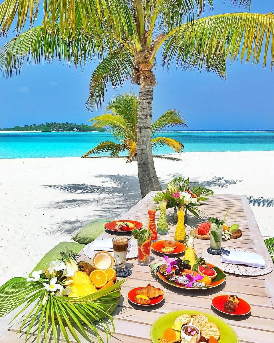tmbIrpics's tweet photo. Lunchtime on beach 🏝 in Maldives 🇲🇻 https://t.co/q2F3k1Aqrg