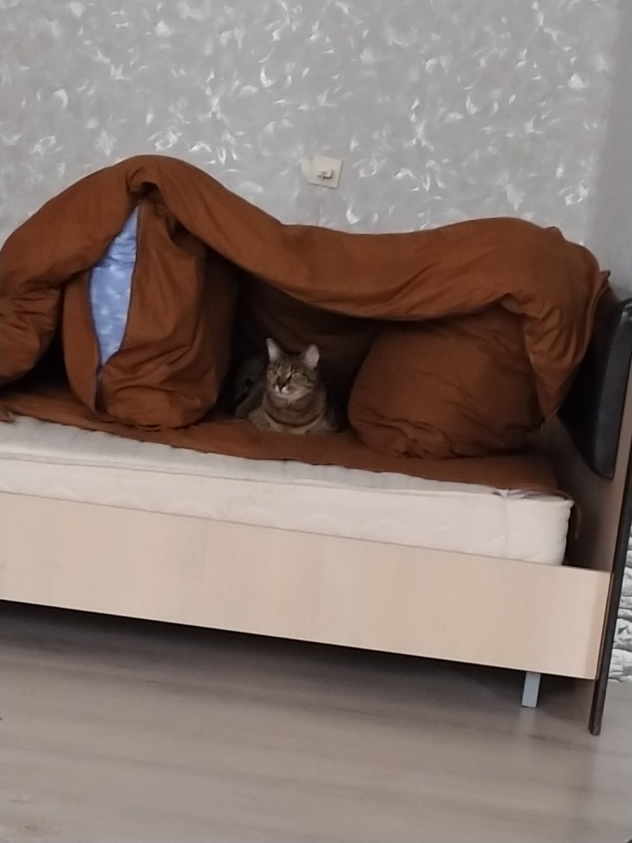 GrachNFT tweet media