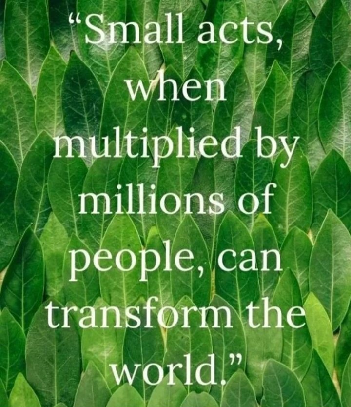 sumividhu's tweet photo. #SaveSoilAtCOP15
மண்ணில் உள்ள கரிமவளத்தை அதிகரிப்பதால், ஈரப்பதத்தை த் தக்கவை த்து,
நீர்ப்பாசனத் தே வை களை வெ குவாகக் குறை க்க உதவுகிறது. இதற்கான சரியான
க ொள்கை கள் வகுக்கப்படுவதை உறுதி செ ய்ய குரல் க ொடுப்ப ோம்.
#SaveSoilAtCOP15 https://t.co/3H12Igvc24