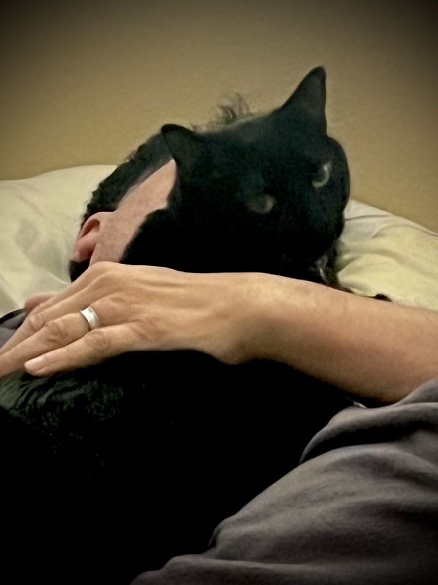 KittyAndIndia's tweet photo. I must keep Daddy safe while he sleeps. I am The Best Kitty. #twocatsonebasket #blackcats #blackcatsmatter #catsoftwitter #guardcats https://t.co/i0uiG1BW64