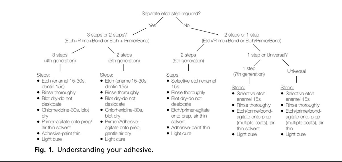 Understanding your adhesive 
By Marc Hayashi