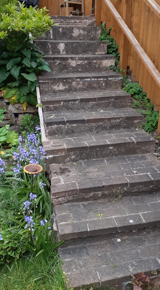GandJLandscapes's tweet photo. The old steps have been removed and we've made a start on the new steps 😃 #Nottingham #landscaping #gardedesign #Sherwood #Creatingyourperfectspace https://t.co/ACv8ewCRCD https://t.co/6p0tuwsmo1 https://t.co/bhgx3jYwfp