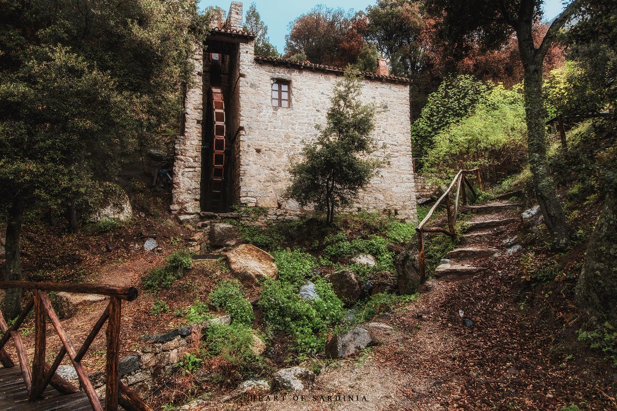 Planet_Sardinia's tweet photo. 🔸Ancient watermill in #Olzai's forests 🌳

#Sardinia #Sardegna #Mediterranean #Gennargentu #Europe #Italy #nature #architecture #travelphotography  #Sardinien #сардиния #Cerdeña  #サルデーニャ

📸 © Heart of Sardinia https://t.co/aJT7BicfK6
