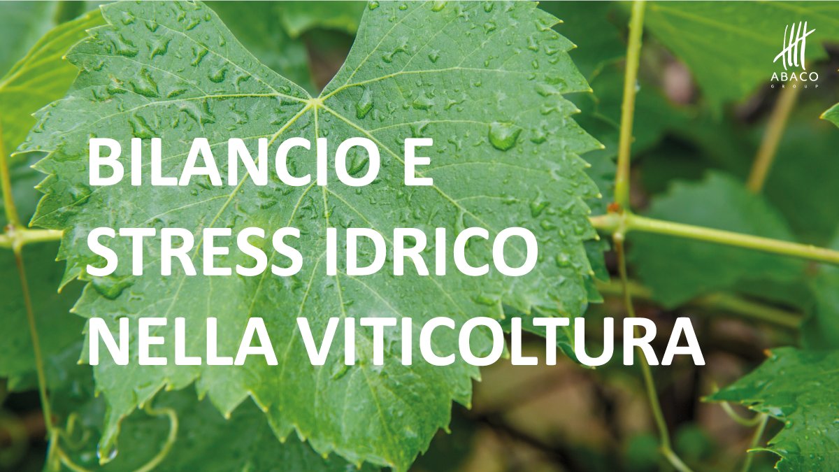 💧 È possibile gestire e prevenire lo stress idrico in viticoltura?

Grazie al machine learning di misure strumentali in campo, osservazioni agronomiche e misure satellitari forniamo un solido Supporto alle Decisioni (DSS).

Scopri di più su ABACO4Grapes! abaco4grapes.it