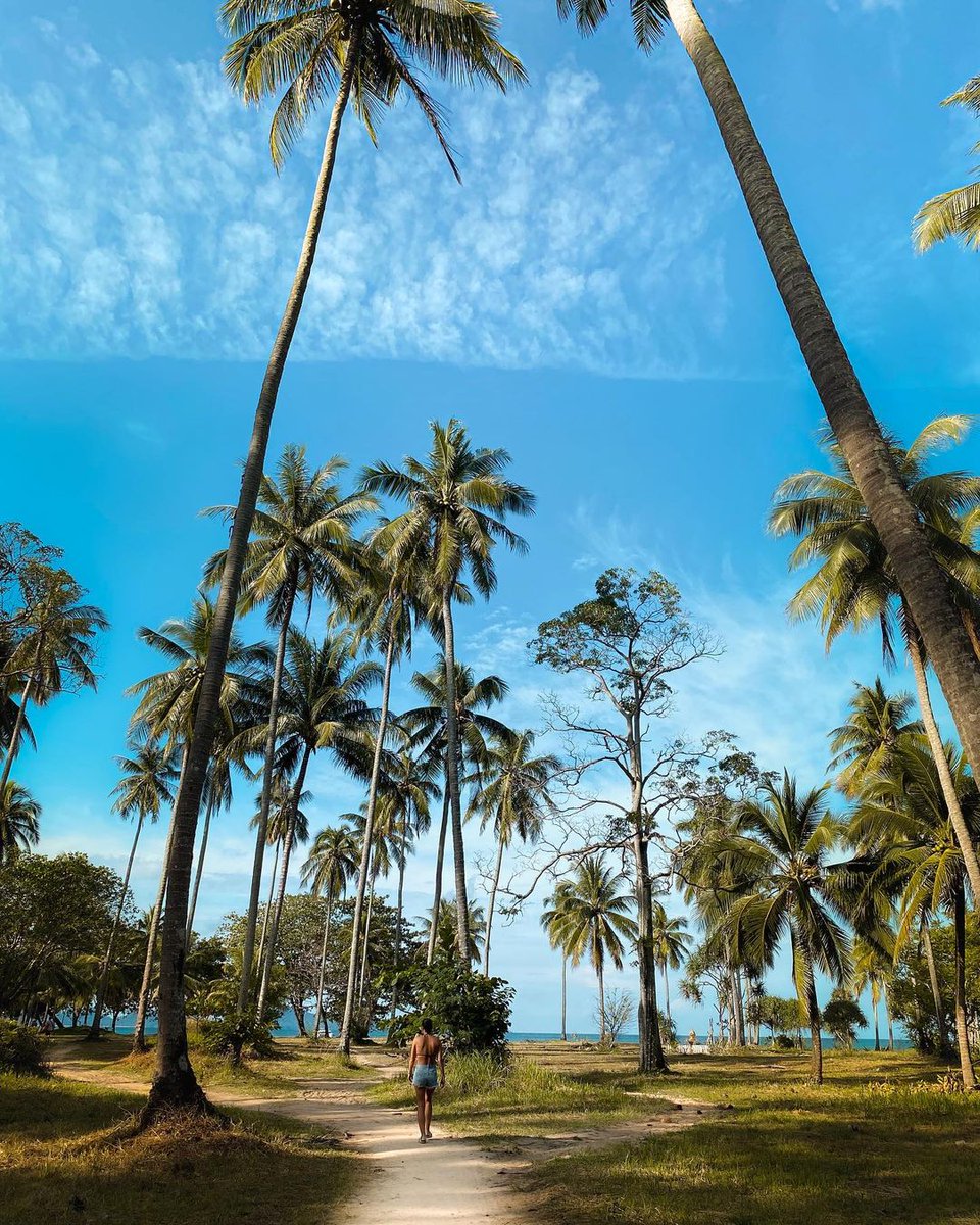 mathailande's tweet photo. #KohMuk, est une petite #île idyllique dans la #mer d’Andaman au sud de la #Thaïlande. La côte est bordée de palmiers, de falaises gigantesques et de #plages fantastiques. L'endroit idéal pour se reposer durant votre séjour!
📸 : @baladeadeux https://t.co/CN75jx5YAJ