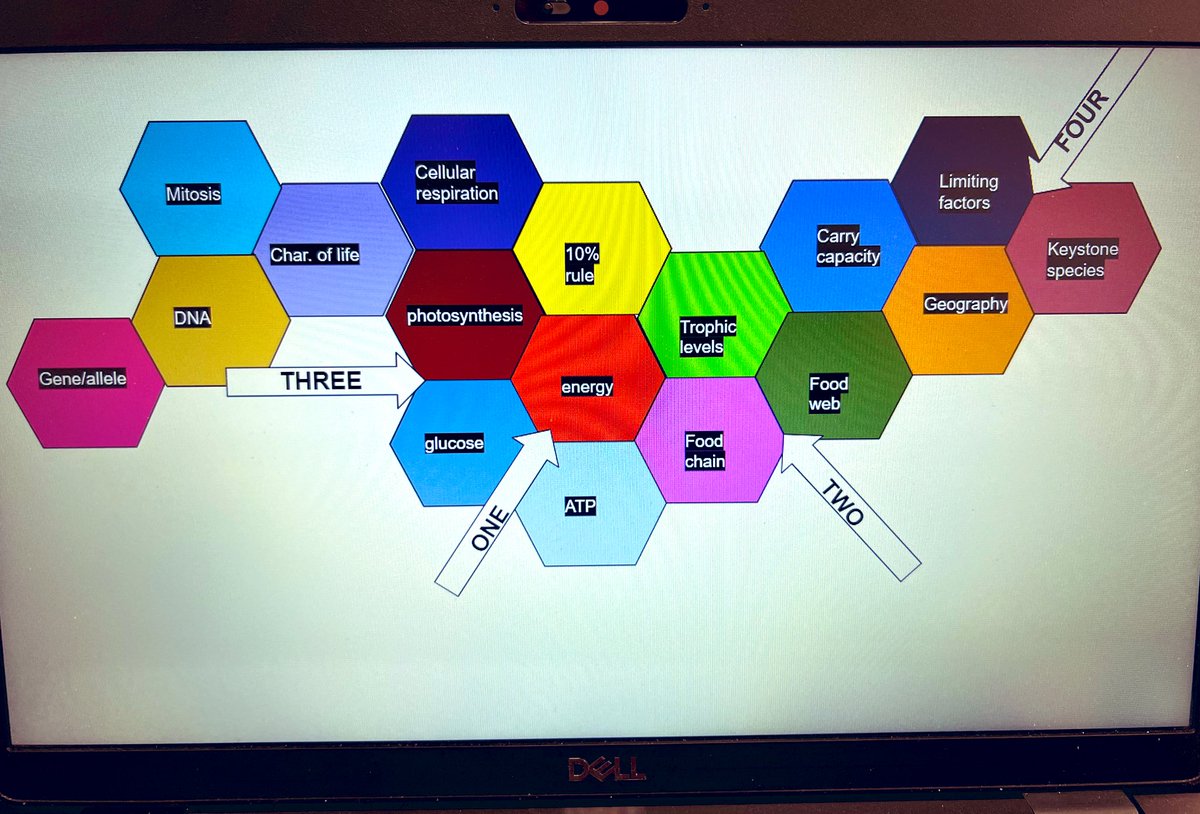 TFY77's tweet photo. Tried hexagonal thinking for the first time with my students as a bio final exam review. It was great to see the various ways students could relate concepts to demonstrate understanding &amp; show where holes still exist. #hexagonalthinking #formativeassessment https://t.co/uhEAp4hJmR