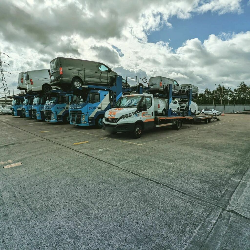 Neilsautoserv's tweet photo. Ever get that feeling you're the odd one out?? 😂😂

#cartransport #ivecodaily #vehiclelogistics #cars https://t.co/ouEdCjF5nX https://t.co/4neFfPRNa5