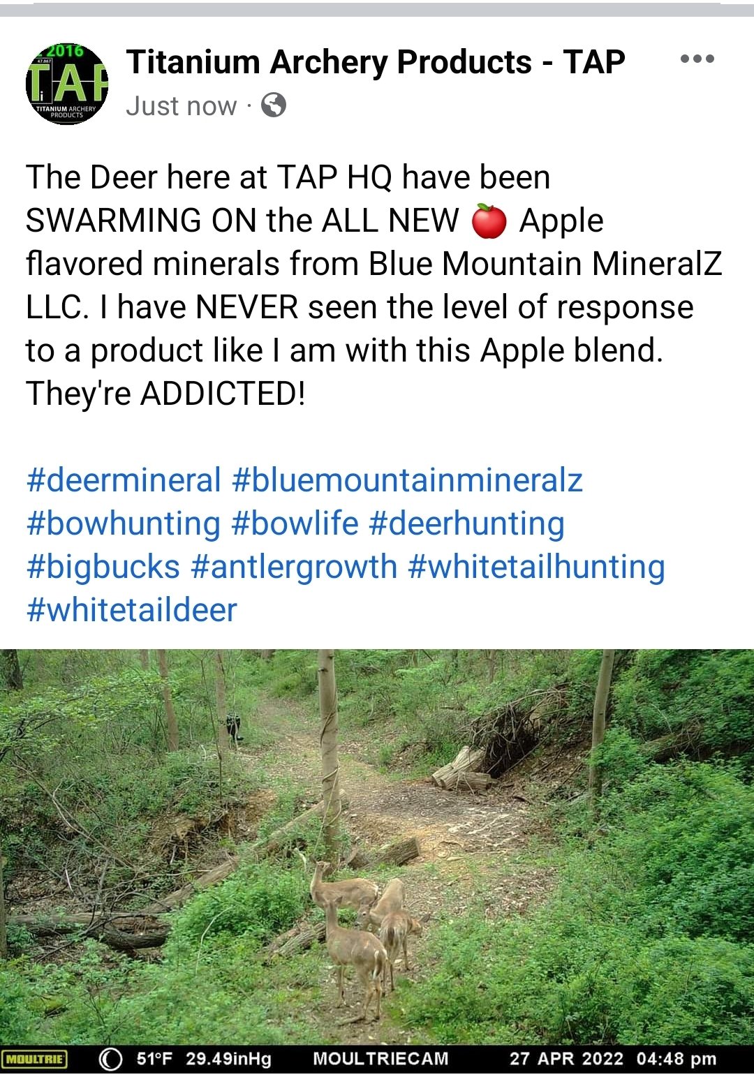 Titanium Archery Products TAP on Twitter "These deer just can't get