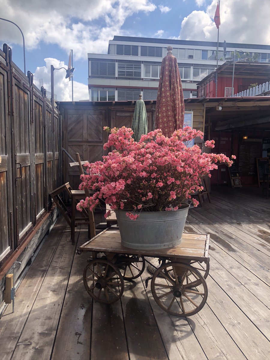 joyserafinecleo's tweet photo. Spring vibes - sooo beautiful #spring #zurich #flowers #PositiveVibes such a beautiful day ♥️☀️ https://t.co/gT8fCBKRMH