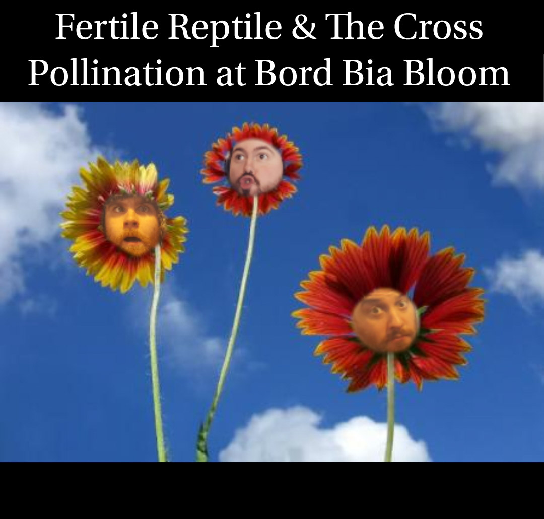 Humongous news! We've been informed by the lovely people at <a href="/youbloom/">youbloom</a> that we'll be playing a set at <a href="/bordbiabloom/">Bloom</a> on Thursday 2nd June at 1:15pm! Hope to see some of you there! No flowers were harmed during the making of this post.