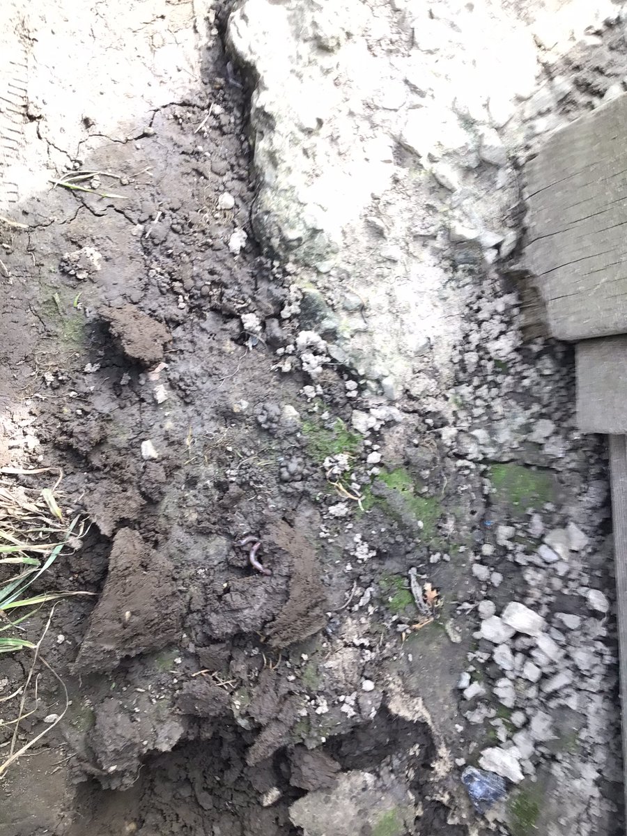 austhorperec's tweet photo. The children have loved creating our Worm World and collecting worms to live in it this morning. We cant wait to see what happens in the wonderful world of worms 🪱 @AusthorpeStaff @AusthorpeStaff https://t.co/h9TaHt2Wgy