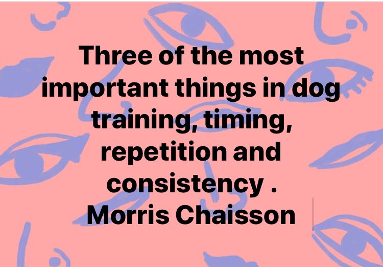 In Control Dog Training on Twitter "puppies puppytraing train https