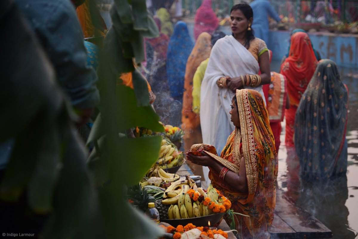 PlateSelector tweet media