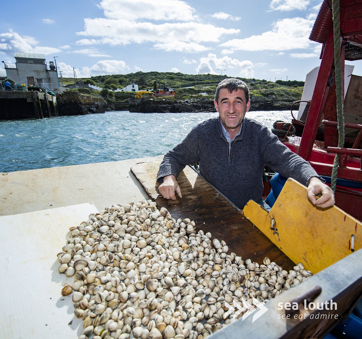 sealouth tweet media