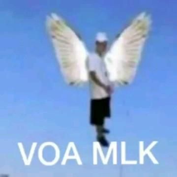 Pefro tweet media