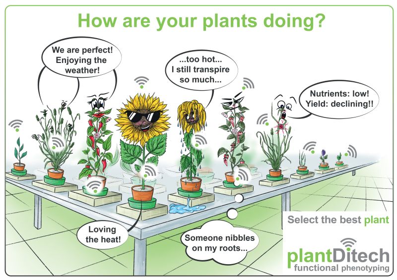 CzemborJerzyH's tweet photo. 👍🔬🧑‍🎓📈🧑‍🌾🧩🌻💚
RT: Plant-DiTech @PlantDiTech
We are excited to have a multi talent join our team
Dr. Daria Chrobok @DC_SciArt, PhD in #PlantPhysiology &amp; a #ScientificIllustrator.
And if you asked yourself- Yes! This is Daria's 🆕drawing🎨of the #PlantArray System.
#Illustrator https://t.co/GcrvO8zbSq